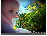 Myspacebug.jpg image by reflection125
